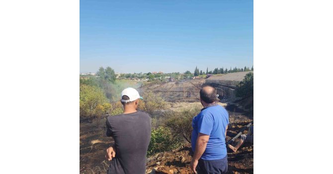 Zeytinlikte çıkan yangın evlere ulaşmadan söndürüldü