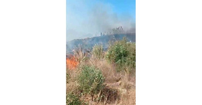 Gazipaşa’da bahçede çıkan yangın ekiplerinin müdahalesiyle söndürüldü