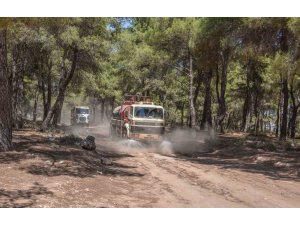 Kepez Belediyesi, orman yangınına karşı teyakkuzda