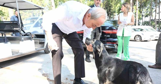 Başkan Kocagöz’den ’Köpek yakıldı’ iddialarına cevap