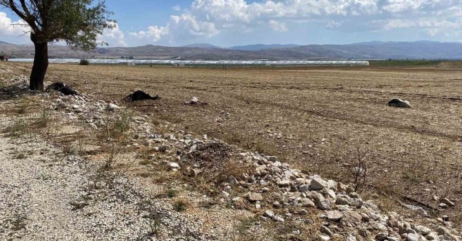 Korkuteli’nde su baskını sebebiyle onlarca hayvan telef oldu