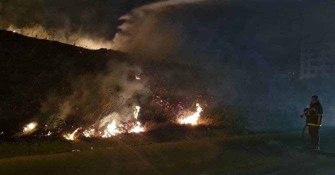 Antakya’da çıkan tarla yangını itfaiye tarafından söndürüldü