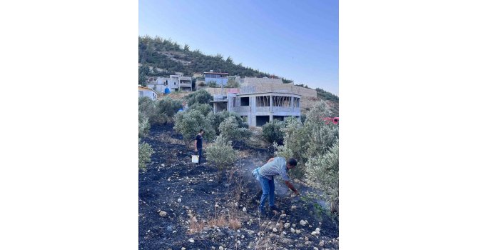 Antakya’da zeytinlik alanda çıkan yangın büyümeden söndürüldü