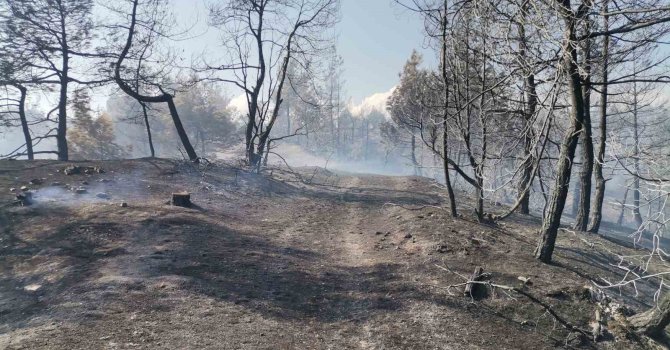 Kahramanmaraş’taki orman yangını büyük ölçüde kontrol altına alındı