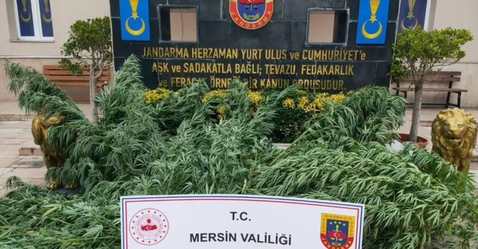 Mersin’de uyuşturucu madde operasyonu: 3 gözaltı