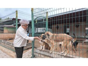 Kaşlı Bakım Evine hayvanseverlerden tam not