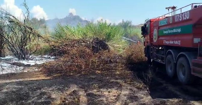 Sazlık yangını tarım arazileri ve mezarlığa ulaşmadan söndürüldü