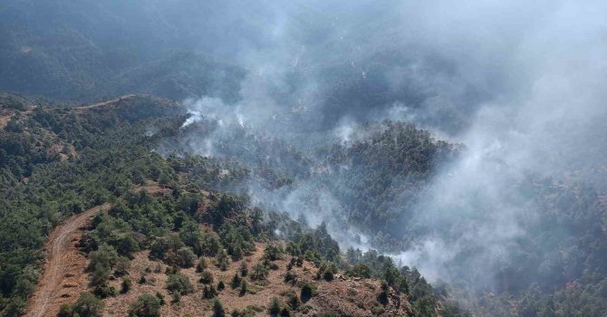 Hatay’da gece saatlerinde başlayan orman yangını kontrol altına alındı