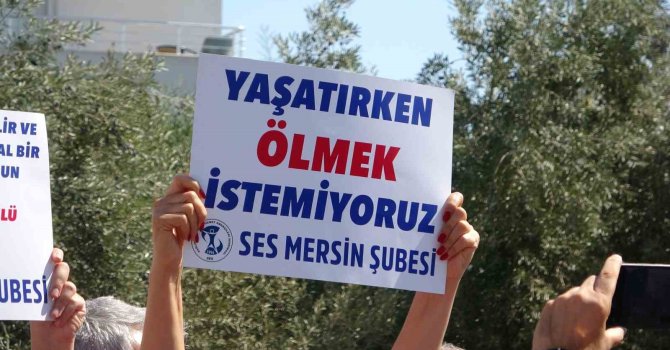 Mersin’de hemşire ve doktorun darp edilmesi protesto edildi