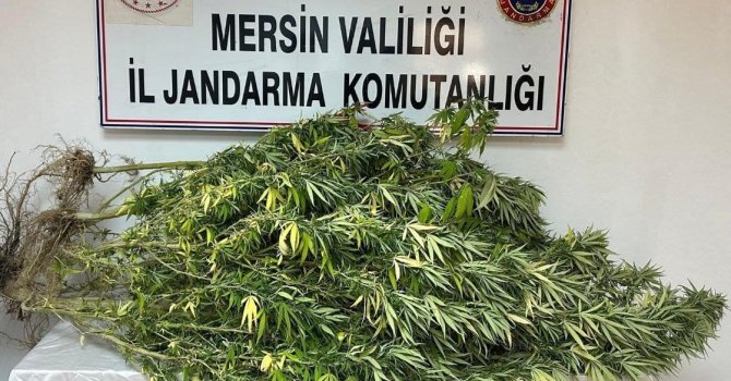 Mersin’de uyuşturucu tacirlerine operasyon: 4 gözaltı