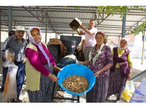 Aydıncık ve Gülnarlı üreticilerin badem soyma derdi bitti