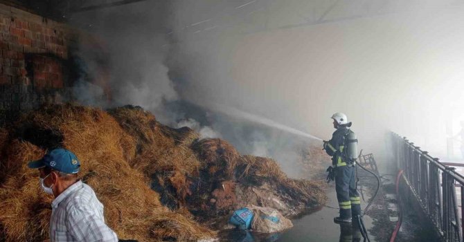 Samanlıkta çıkan yangında 250 balya saman kül oldu