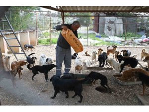 Kemer Belediyesi mama üretim tesisini açıyor