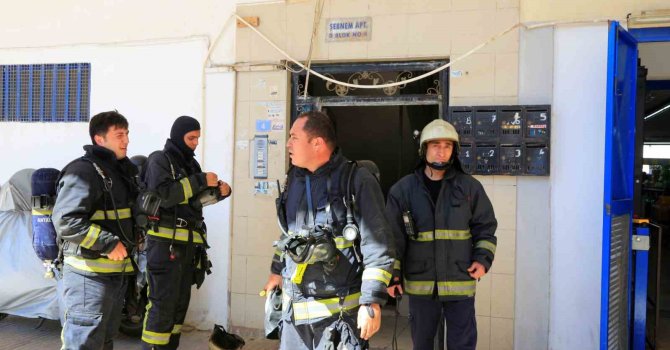 Bodrum katta çıkan yangın sonrası yavru kedi alarmı