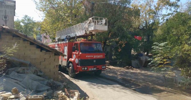 Kümeste bulunan güvercinler yanmaktan son anda kurtuldu