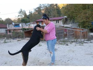 Yolda giderken kafası salça bidonuna sıkışan köpeği görüp kurtardı