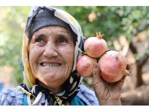 Tescilli Kuytucak narı bahçede 20 lira