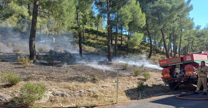 Mersin’de vadide çıkan orman yangını, büyümeden söndürüldü