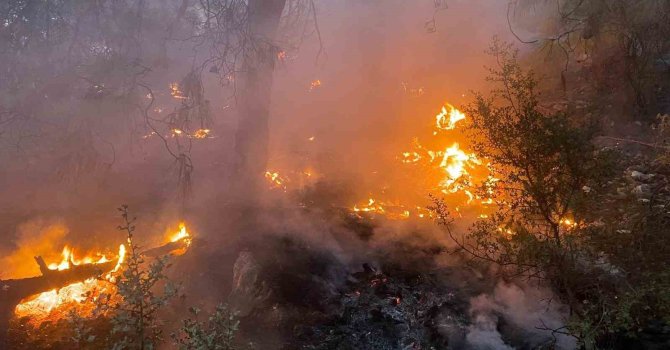 Burdur’da çıkan orman yangını kontrol altına alındı