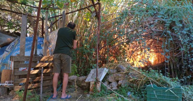 Antalya’da sazlık yangını: 3 sera zarar gördü