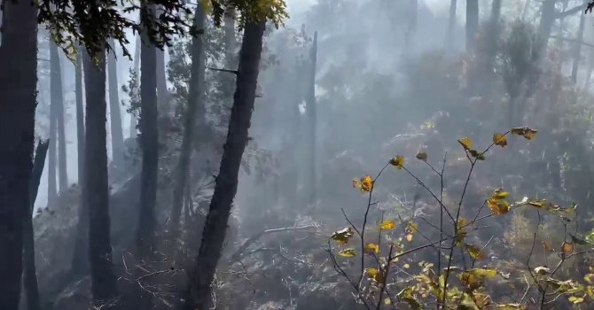 Orman yangınına müdahale çevre illerden destekle devam ediyor