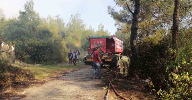 Osmaniye’de orman yangını başladı