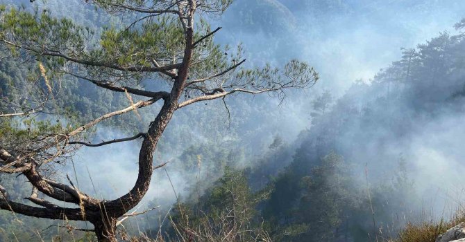 Orman yangını 28. saatte kontrol altına alındı