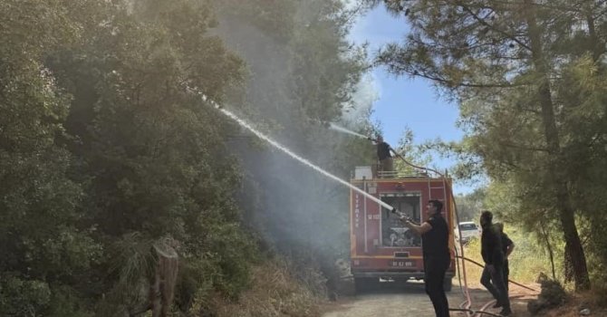 Antakya’da orman yangını kısa sürede söndürüldü