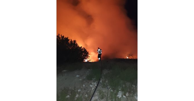 Antakya’da ormanlık alanda yangın