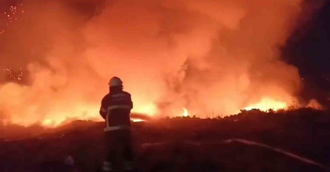 Hatay’da tarım arazisinde yangın: Alevler geceyi aydınlattı