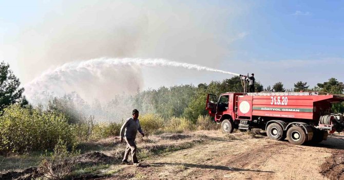 Hatay’da orman yangını rüzgarın etkisiyle büyümeye devam ediyor