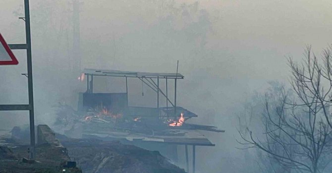 Hatay’da orman yangını evlere sıçradı