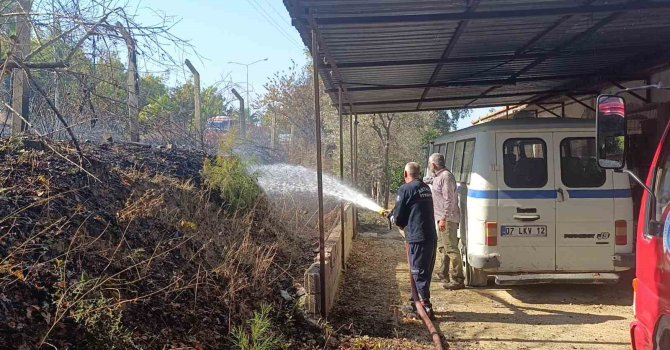 Ağaç ve çalılık yangınında kirpi telef oldu, kamyonet zarar gördü