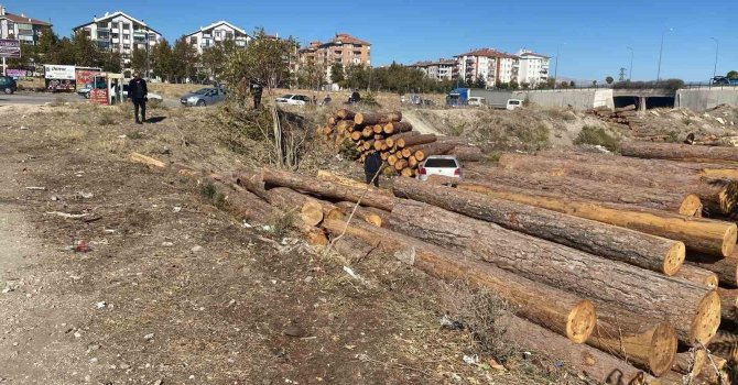 Isparta’da kontrolden çıkan otomobil tomrukların üzerinden düştü: 2 yaralı