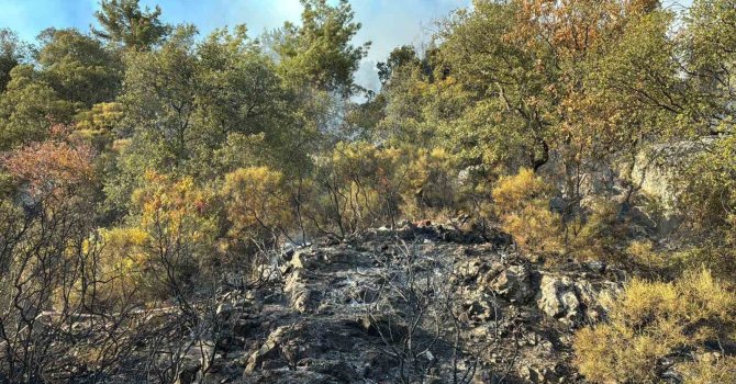 Kumluca’daki orman yangını kısmen kontrol alına alındı