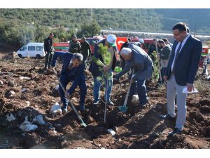 Korkuteli’nde 500 fidan toprakla buluştu