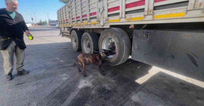 Tırın lastiğinde 53 kilogram esrar çıktı