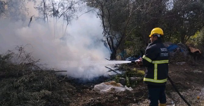 Erzin’de zeytin bahçesinde çıkan yangın söndürüldü