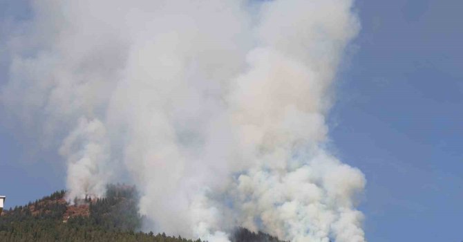 Kahramanmaraş’ta orman yangının kontrolü altına alındı