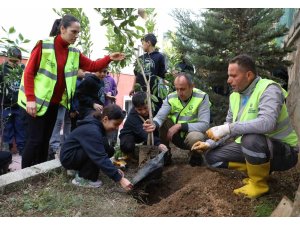 Öğrenciler, 5 bin narenciye fidanını toprakla buluşturdu