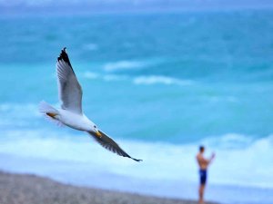 Rus turist fırtınanın oluşturduğu dev dalgalar arasında denize girdi, ceket giyenlere güldü