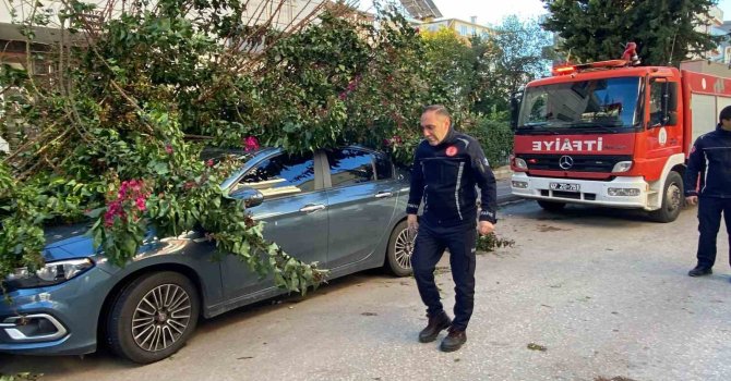 Antalya’da fırtınaya dayanamayan ağaç park halindeki aracın üzerine devrildi