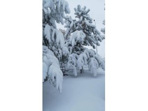 Tufanbeylide okullar bir gün daha tatil