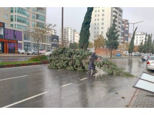 Kahramanmaraş’taki fırtına saatte 95 kilometre hıza ulaştı