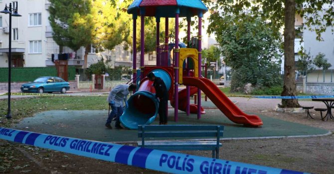 Çocuk parkında dehşet saçtılar: 2 çocuk saçma ile yaralandı