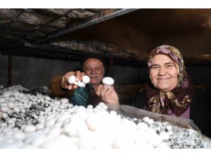 Emekli olunca hobisi ekmek teknesi oldu