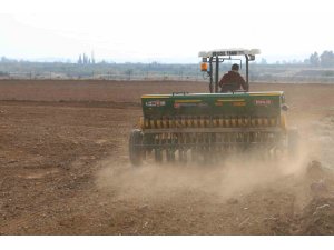 Adana’da buğday taneleri toprakla buluştu