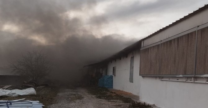 Tavuk çiftliğinde yangın: Binlerce civciv telef oldu