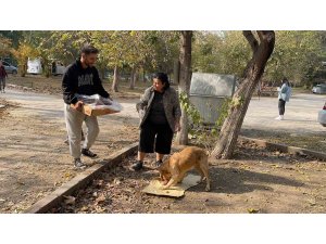 Osmaniye’de sokak hayvanları için doğaya yem bırakıldı