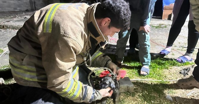 17 metre derinliğindeki kuyuya düşen köpeği itfaiye kurtardı